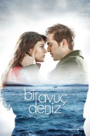Bir Avuç Deniz 2011 one on netflix