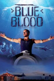 Blue Blood 2014 one on netflix