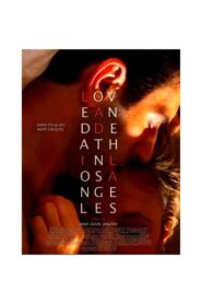 Love and Death in Los Angeles 2012 one on netflix