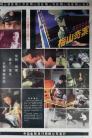 梅山奇案 1985 one on netflix