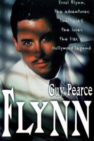 Flynn 1993 one on netflix