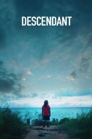 Descendant 2022 one on netflix