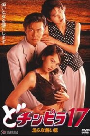 Dochinpira 17: Sizzling Lewd Skin 1996 one on netflix