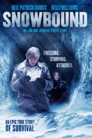 Snowbound: The Jim and Jennifer Stolpa Story 1994 one on netflix
