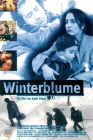 Winter Flowers 1997 one on netflix