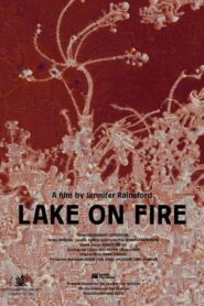 Lake on Fire 2020 one on netflix