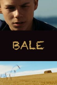 Bale 2009 one on netflix