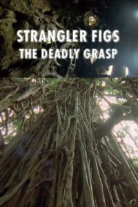 Strangler Figs: The Deadly Grasp 2000 one on netflix