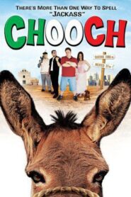 Chooch 2003 one on netflix