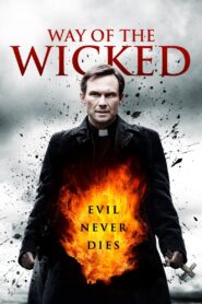 Way of the Wicked 2014 one on netflix