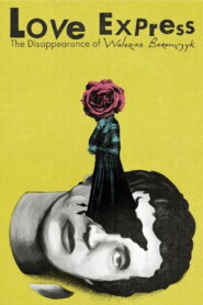 Love Express. The Disappearance of Walerian Borowczyk 2018 one on netflix