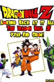 Looking Back at it All: The Dragon Ball Z Year-End Show! 1993 one on netflix