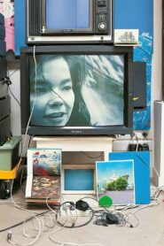 Björk: Vessel 1994 1994 one on netflix