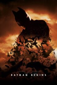 Batman Begins 2005 one on netflix