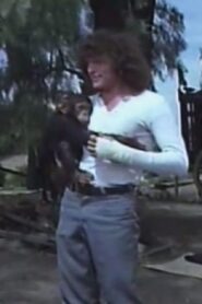 Fieras contra fieras 1982 one on netflix