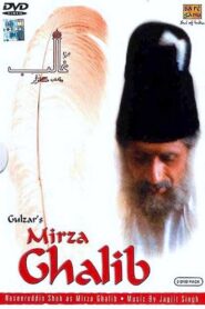 Mirza Ghalib 1988 one on netflix