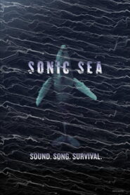 Sonic Sea 2016 one on netflix
