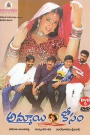 Ammayi Kosam 2001 one on netflix