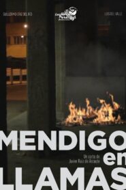 Mendigo en Llamas 2011 one on netflix