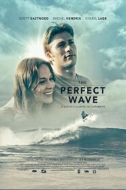 The Perfect Wave 2014 one on netflix