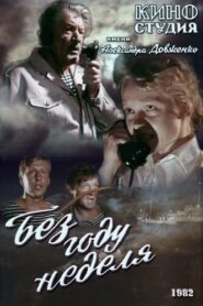 Almost a Year 1982 one on netflix