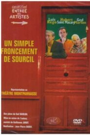 Un simple froncement de sourcil 2004 one on netflix