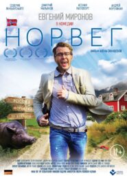 The Norseman 2015 one on netflix