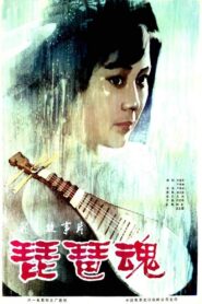 琵琶魂 1982 one on netflix