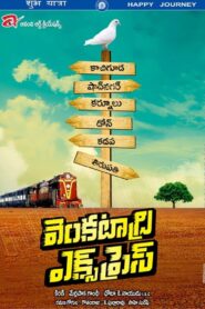 Venkatadri Express 2013 one on netflix