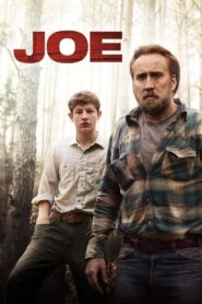 Joe 2014 one on netflix