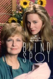 Blind Spot 1993 one on netflix