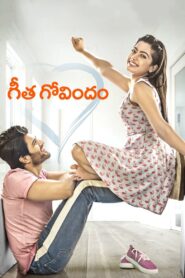 Geetha Govindam 2018 one on netflix
