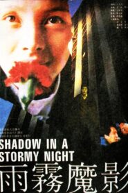 Shadow in a Stormy Night 1990 one on netflix