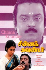 Chinna Kounder 1992 one on netflix