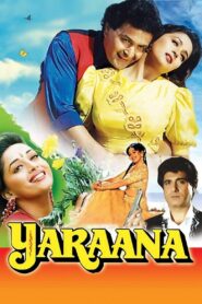 Yaraana 1995 one on netflix