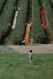 Colour 1982 one on netflix