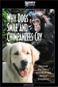 Why Dogs Smile and Chimpanzees Cry 1999 one on netflix