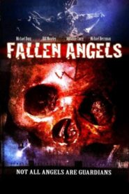 Fallen Angels 2007 one on netflix