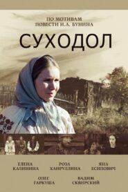 The Dry Valley 2012 one on netflix