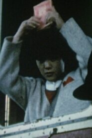 Hanasareru Gang 1984 one on netflix