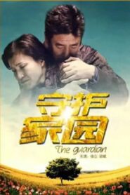 守护家园 2012 one on netflix