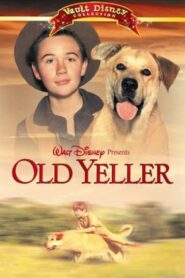 ‘Old Yeller’: Remembering a Classic 2002 one on netflix
