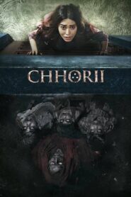 Chhorii 2021 one on netflix