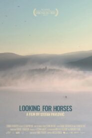 Looking for Horses 2021 one on netflix