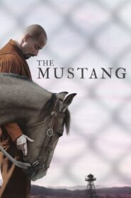 The Mustang 2019 one on netflix