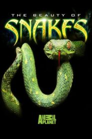 The Beauty of Snakes 2003 one on netflix