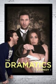 The Dramatics: A Comedy 2015 one on netflix