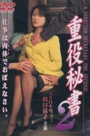 A DIRECTOR SECRETARY THE SECOND 1998 one on netflix