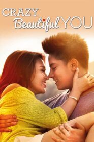 Crazy Beautiful You 2015 one on netflix