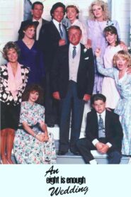 An Eight Is Enough Wedding 1989 one on netflix